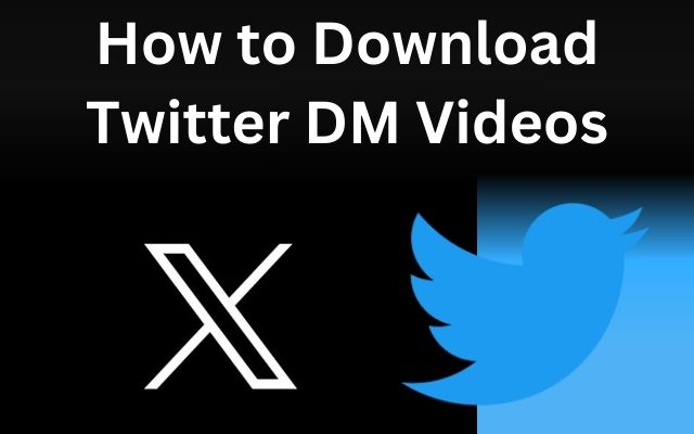 Download Twitter DM Videos