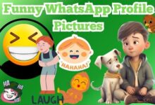 Funny WhatsApp Profile Pictures