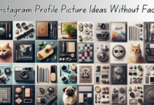 Instagram Profile Picture Ideas Without Face