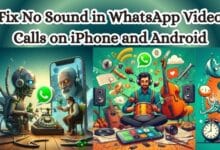 No Sound in WhatsApp Video Calls
