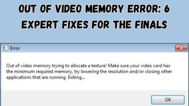 Out of Video Memory Error
