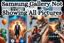 Samsung Gallery Not Showing All Pictures