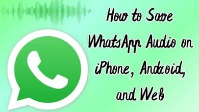 Save WhatsApp Audio