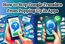 Stop Google Translate From Popping Up