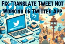 Translate Tweet Not Working