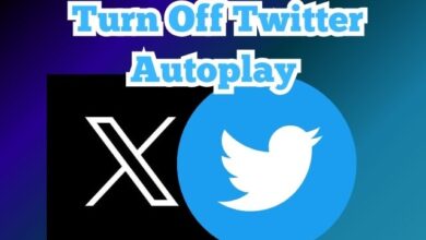 Twitter Autoplay