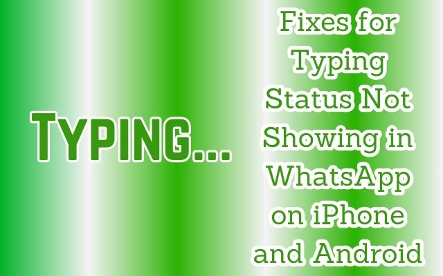 Typing Status Not Showing in WhatsApp