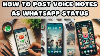 Voice Notes As WhatsApp Status