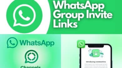 WhatsApp Channel vs Community vs Groups