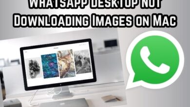 WhatsApp Desktop Not Downloading Images
