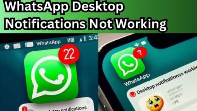 WhatsApp Desktop Notifications Not Working