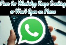 WhatsApp Keeps Crashing