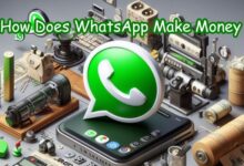WhatsApp Make Money