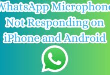 WhatsApp Microphone Not Responding