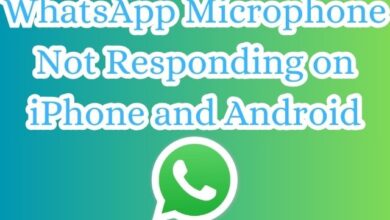 WhatsApp Microphone Not Responding