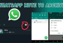 WhatsApp Mute vs Archive