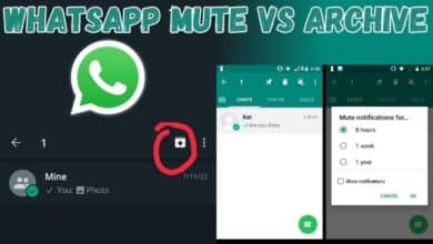 WhatsApp Mute vs Archive