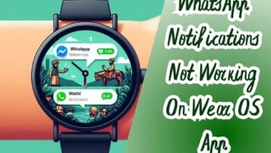 WhatsApp Notifications Not Working