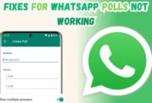 WhatsApp Polls Not Working