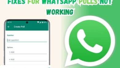 WhatsApp Polls Not Working