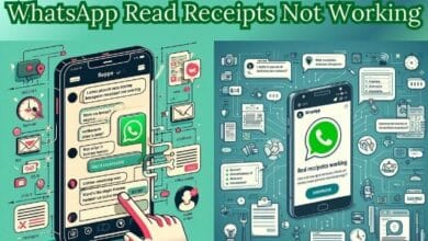 WhatsApp Read Receipts Not Working