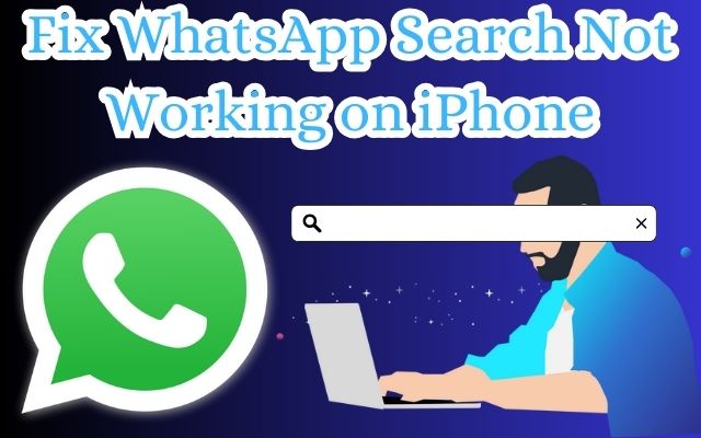 WhatsApp Search Not Working