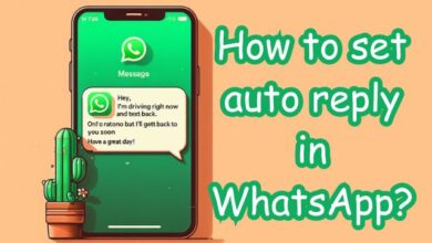 auto reply in WhatsApp