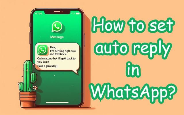 auto reply in WhatsApp