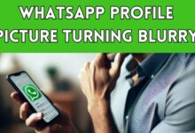 whatsapp profile picture turning blurry