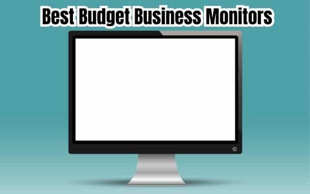 Best Budget Business Monitors