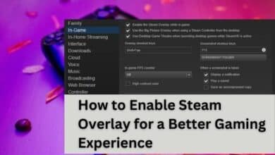 Enable Steam Overlay