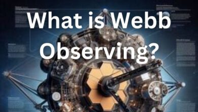 What is Webb Observing?