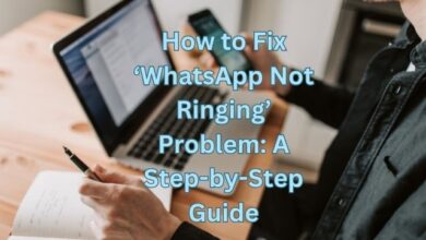 WhatsApp Not Ringing