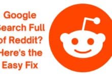 Too Much Reddit in Your Search Results
